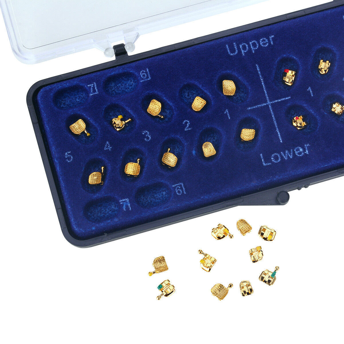 Dental Orthodontic Brackets Braces 24K Gold Plated Mini Roth 0.022 hooks 345