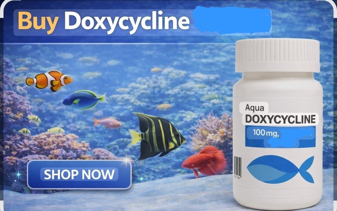 30 Capsules Doxycycline Hyclate 100mg OTC AQUATIC WATER TREATMENT
