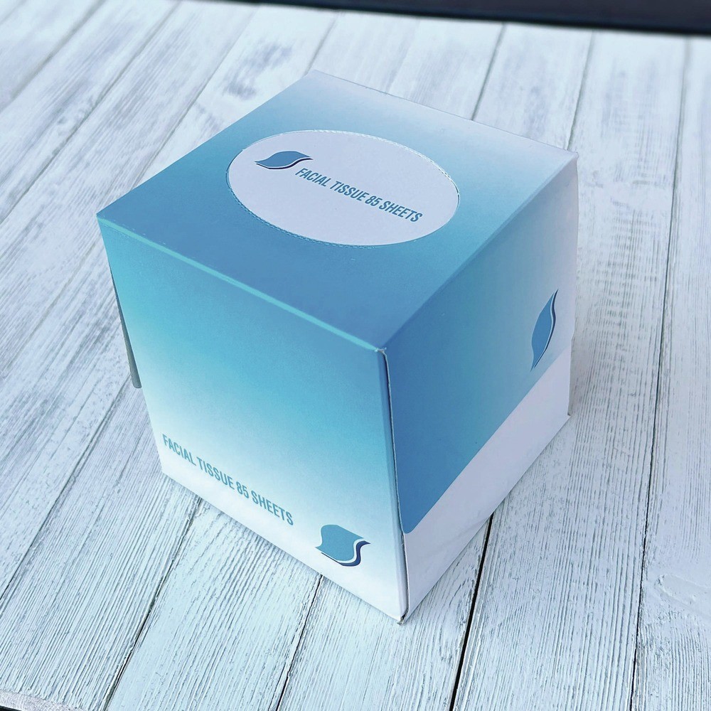 GEN 2-Ply, Facial Tissue Cube Box (36/Carton) White