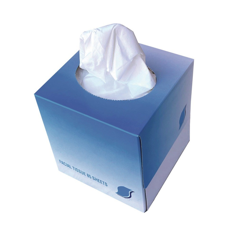GEN 2-Ply, Facial Tissue Cube Box (36/Carton) White