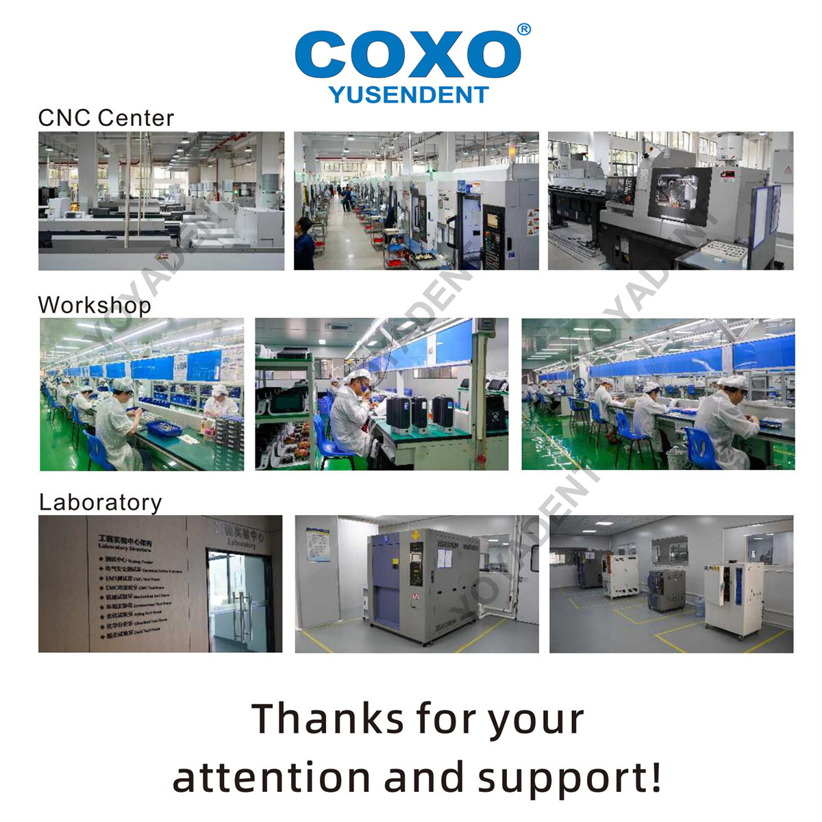 COXO Dental Handpiece LED High Speed Handpiece Air Turbine 2/4 Hole Fit NSK KAVO