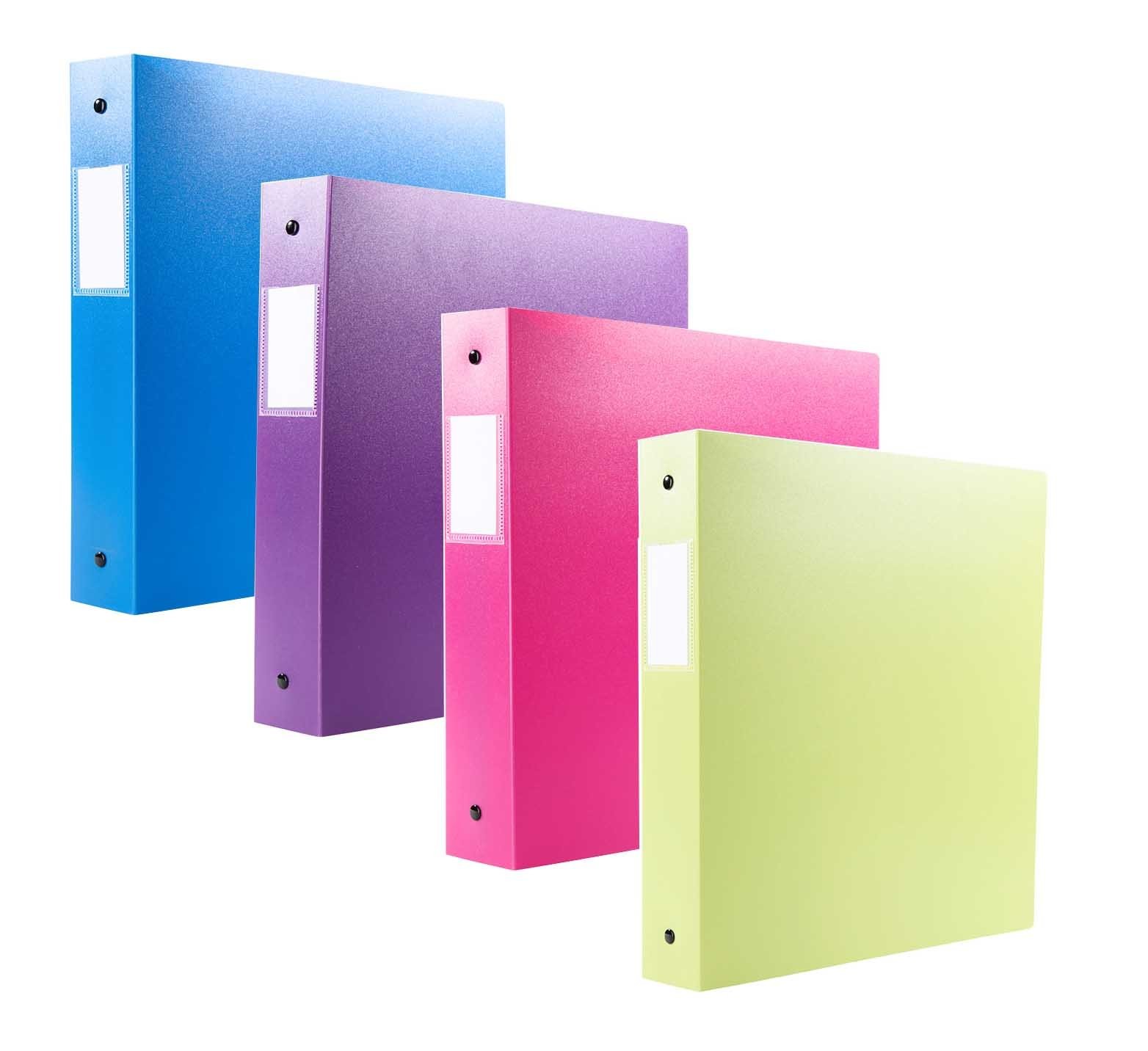 Filexec 3-Ring Binder 1 – 12 Pack Blue Hot Pink Purple Green 50573-64970