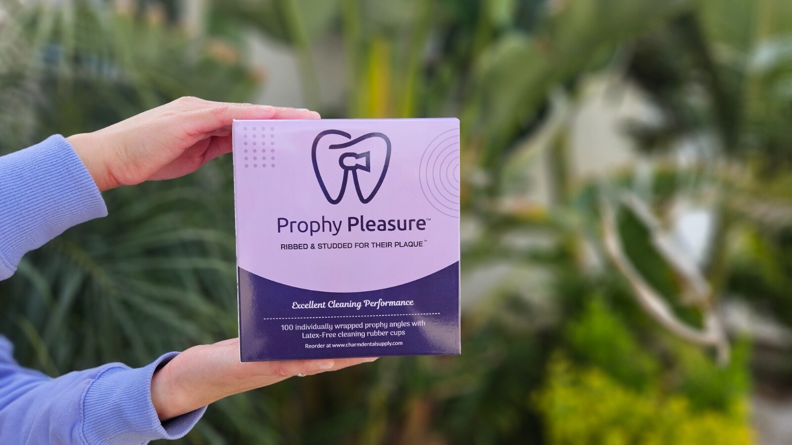 PROPHY PLEASURE – 100PCS – Best NEW Prophy Angle Dental – Ribbed and Studded