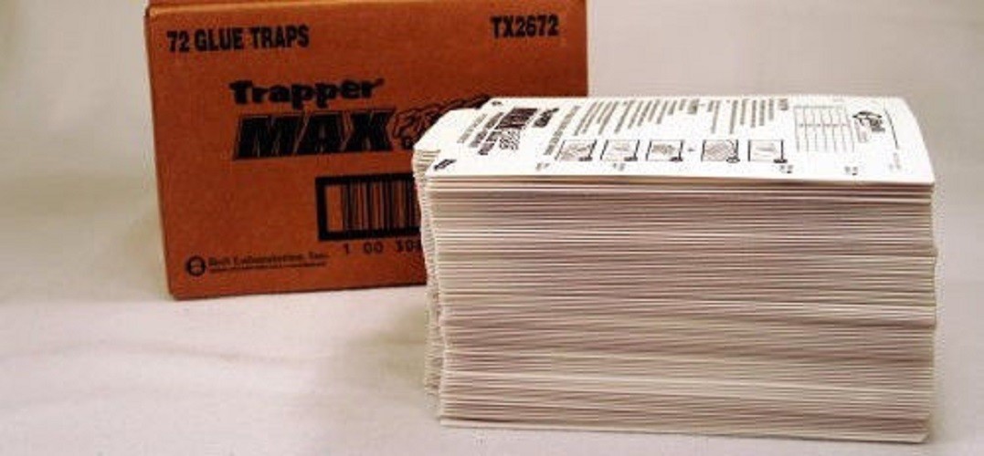 72 Trapper Max Free Unscented Mouse Glue Traps GlueBoards Trapper Max MouseTraps
