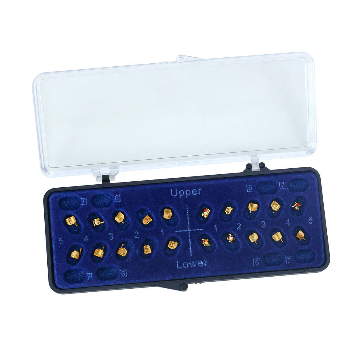 Dental Orthodontic Brackets Braces 24K Gold Plated Mini Roth 0.022 hooks 345