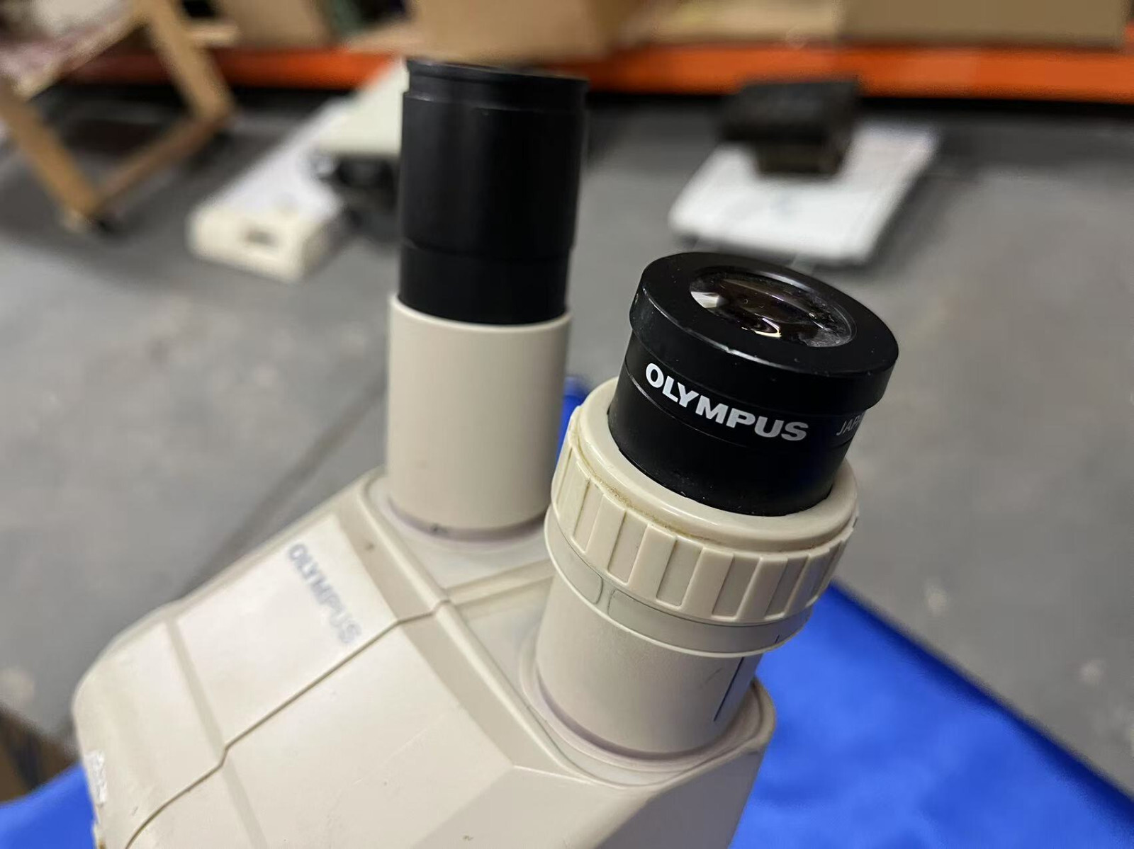 Olympus SZ30, Stereo Microscope Nikon 10×23 Lenses