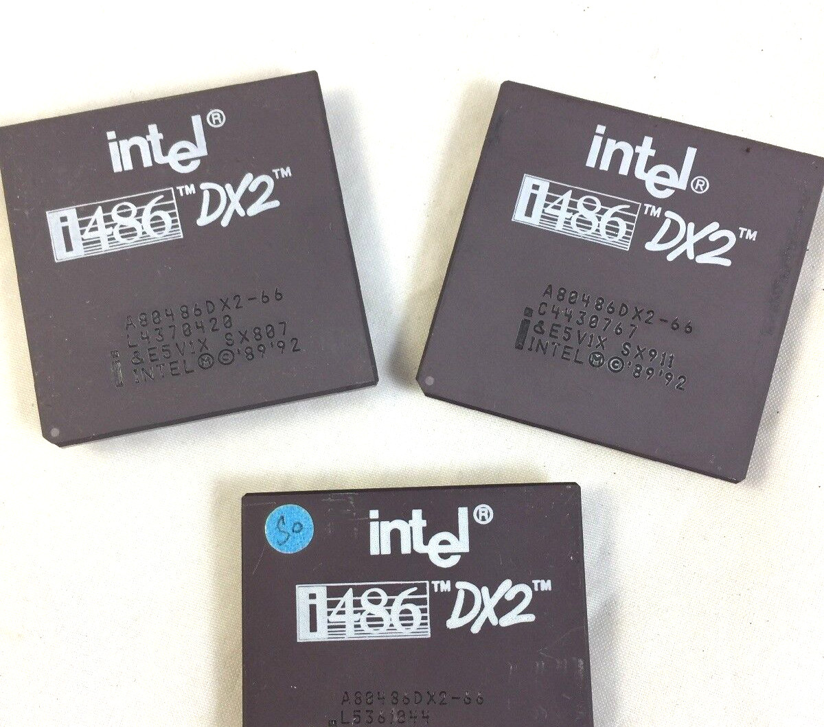 Intel 486 DX2 66MHZ A80486DX2 SX911 i486 CPU Processor Gold Vintage SX955 Sx807