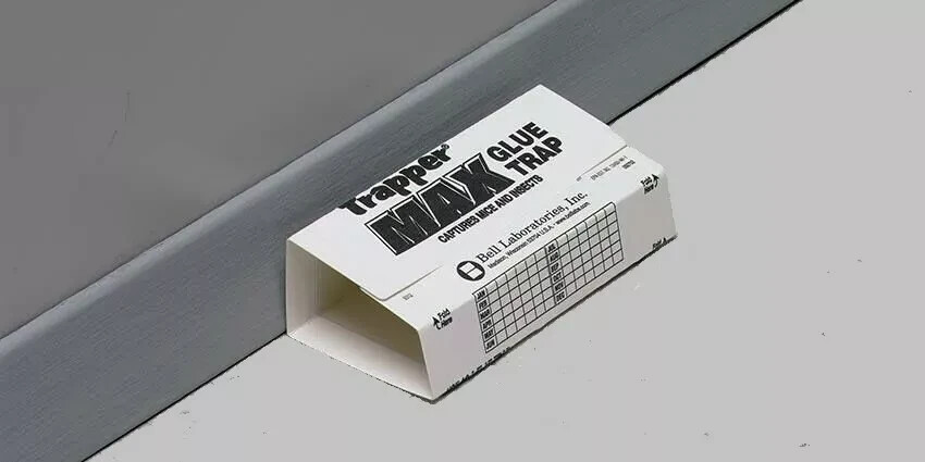 Trapper Max Glue Traps Unscented 24 Pack Mice Glue Boards TrapperMax MouseTraps