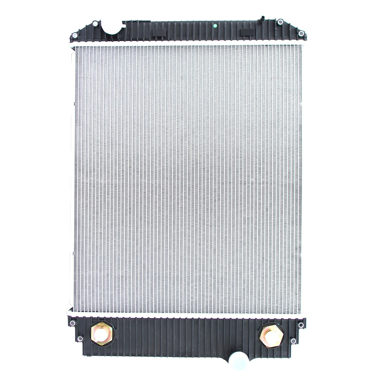 2 Row Radiator For Freightliner FL50 FL60 FL70 Thomas Bus OEM# 1AH0010S BHT79226