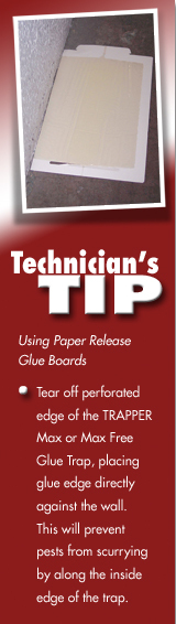 72 Mouse Traps Glue Boards Sticky Glue Trap Unscented – No Peanut Butter Smell