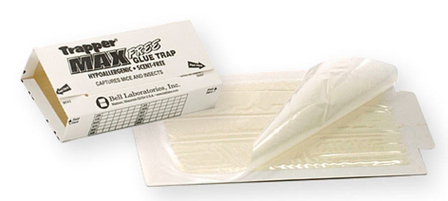 12 Trapper Max Free Unscented Mouse Glue Traps GlueBoards Trapper Max MouseTraps