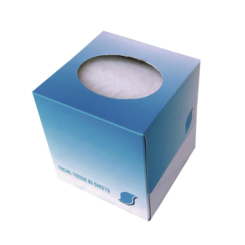 GEN 2-Ply, Facial Tissue Cube Box (36/Carton) White