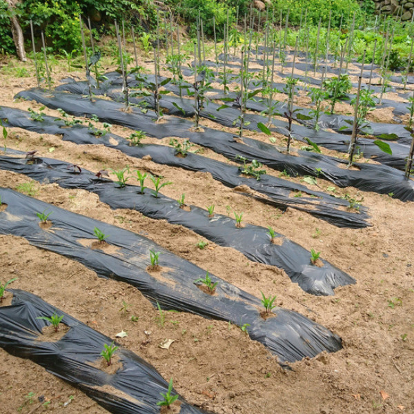 Farm Plastic Supply – 10 Mil Black Crawl Space Vapor Barrier