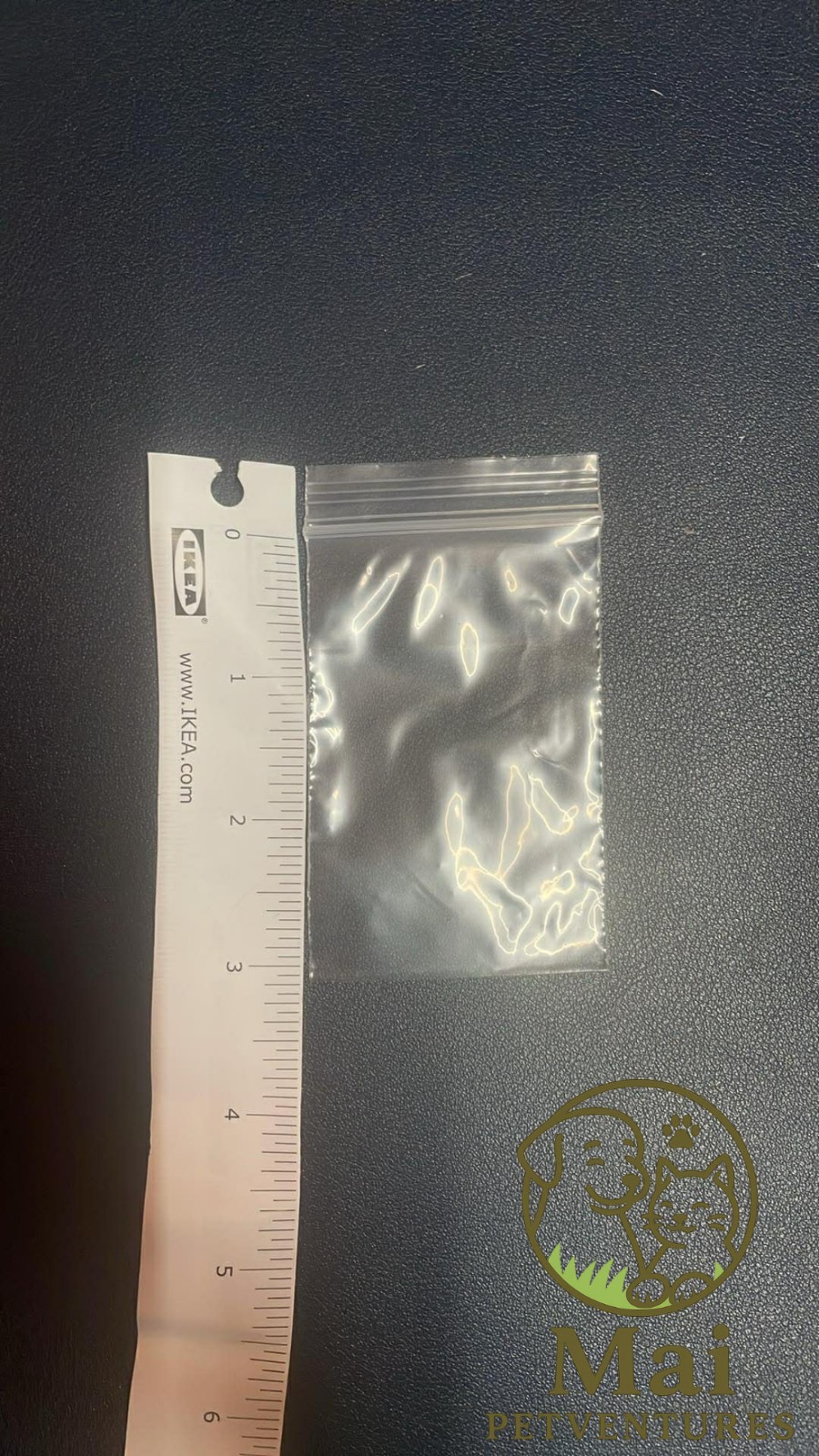 2″ x 3″ Clear 2MIL SMALL RECLOSABLE PLASTIC BAGS – 100 Count
