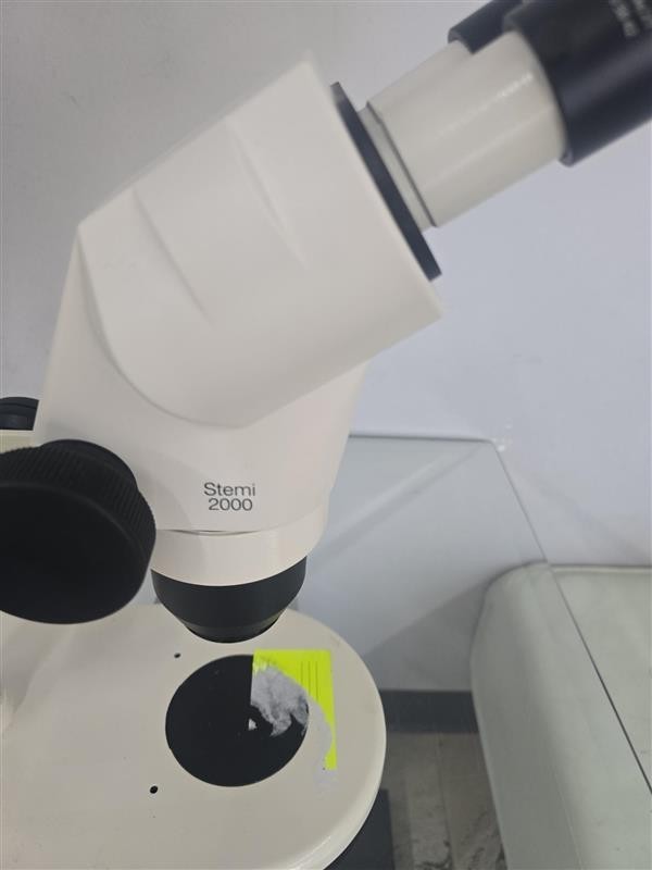 Zeiss Stemi 2000 Stereo Microscope -35
