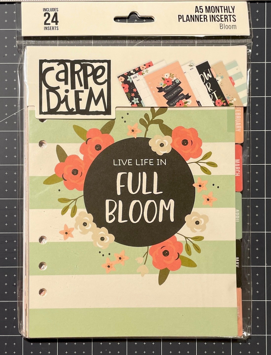 Carpe Diem Undated A5 Monthly Planner Inserts – Bloom