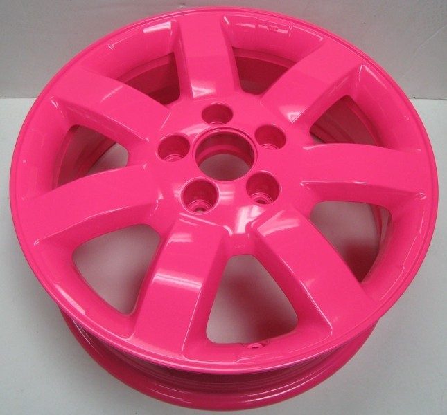 Neon Pink Powder Coating Hot Pink Powder Paint – NEW 1LB
