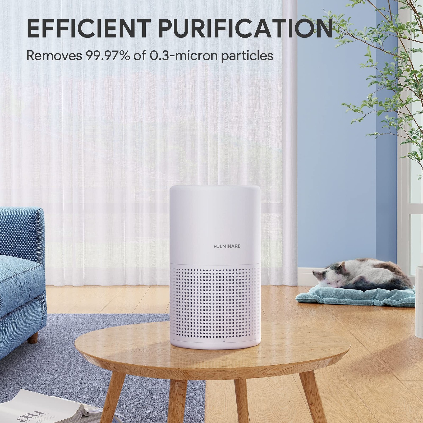 Air Purifiers for Bedroom, FULMINARE H13 True HEPA Filter | Remove Pet Hair, …