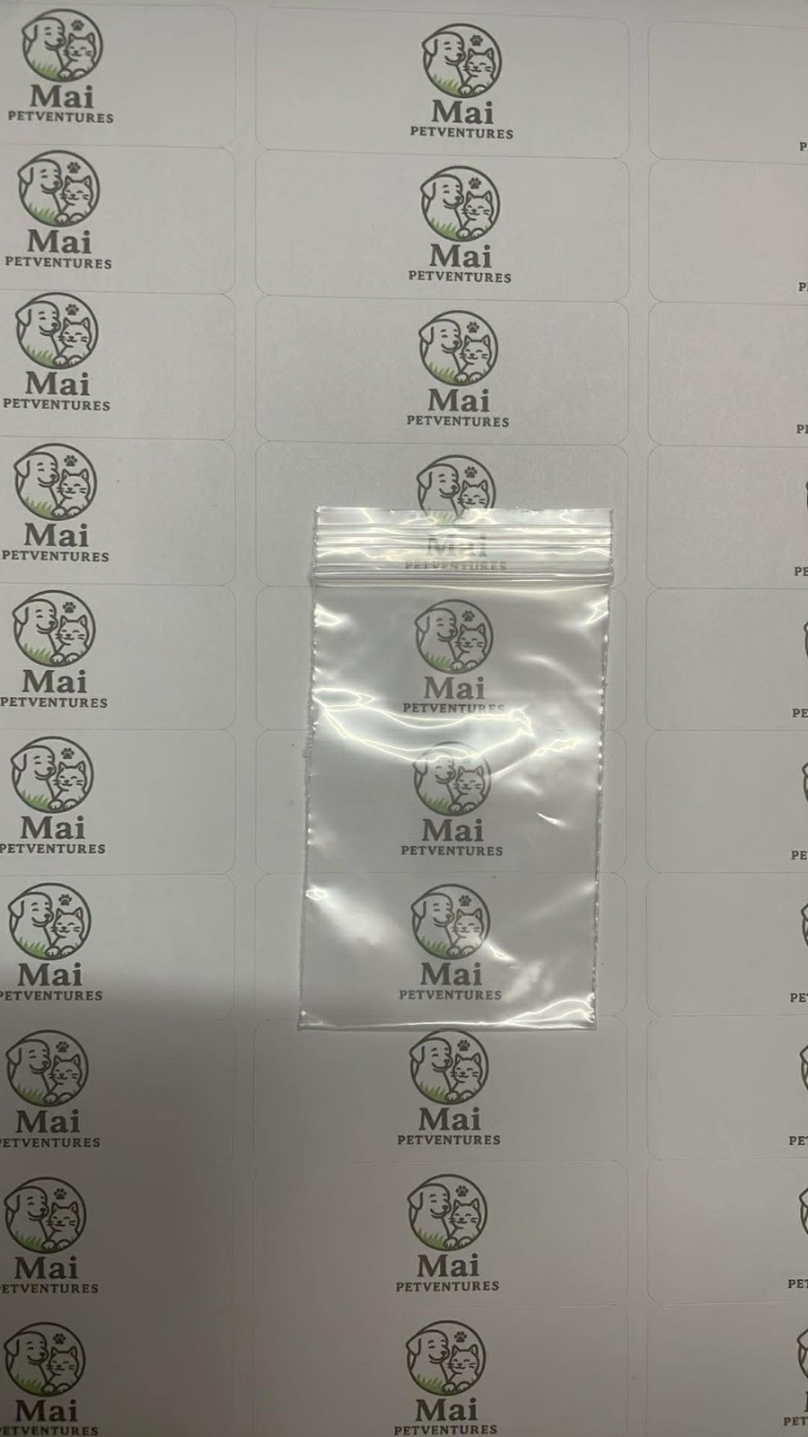 2″ x 3″ Clear 2MIL SMALL RECLOSABLE PLASTIC BAGS – 100 Count