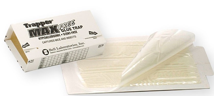 72 Trapper Max Free Unscented Mouse Glue Traps GlueBoards Trapper Max MouseTraps