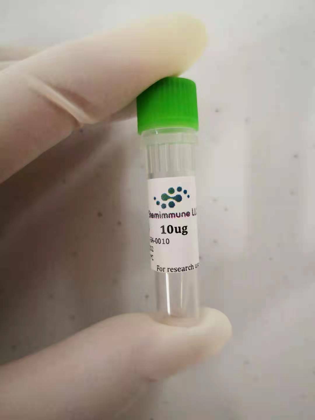 Recombinant Human BMP-2, 10ug expressed in human cells