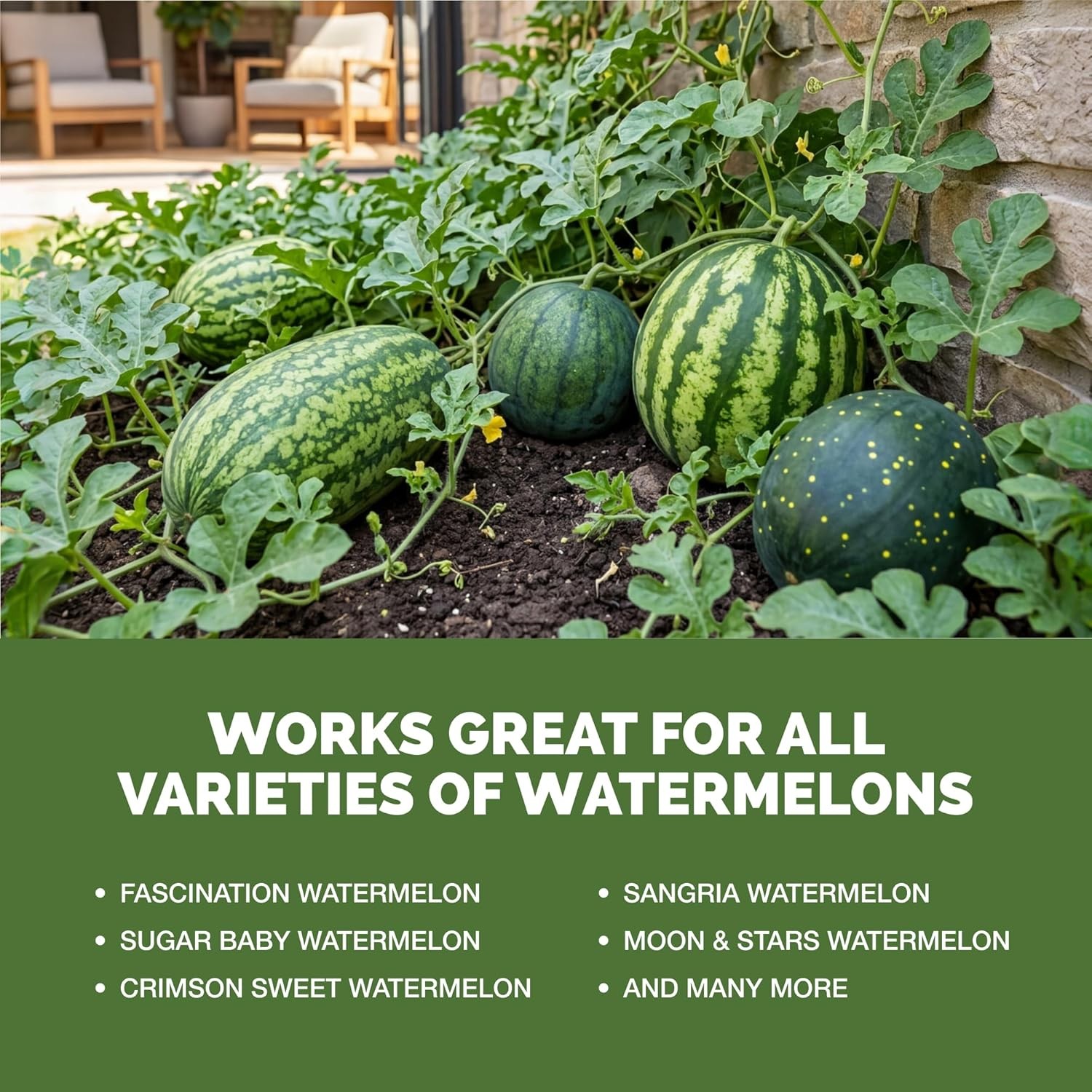 Liquid Watermelon Fertilizer for Bigger Melons, Vines & Strong Roots, 8 oz