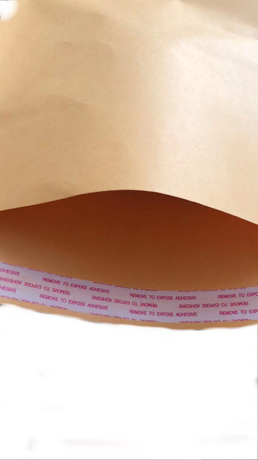 100-6×9 Brown Kraft Self Seal Catalog Envelopes with Peel Mailing 28lb