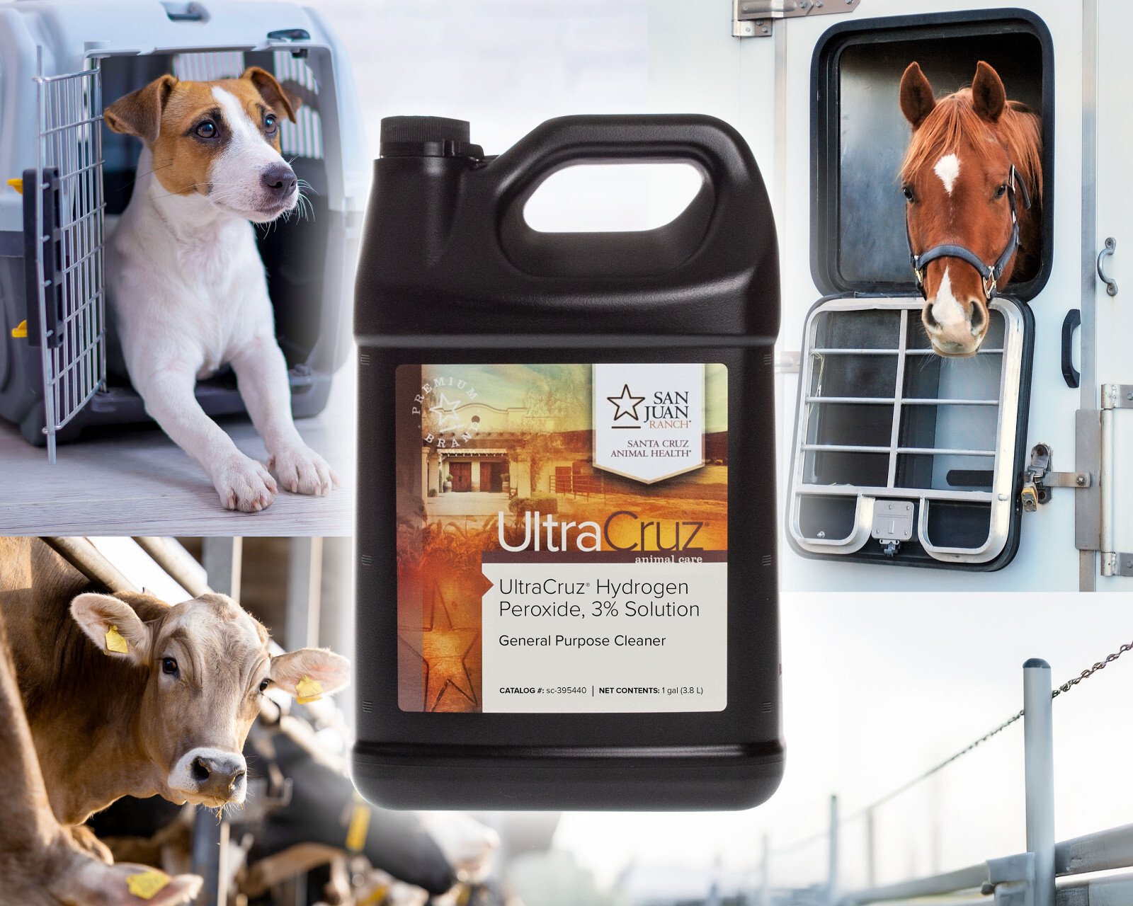 UltraCruz Hydrogen Peroxide, 3%, 1 Gallon