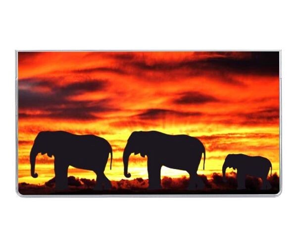 Style Choice * Safari * 3 Year Pocket Calendar Planner 2025-2027 w Notepad