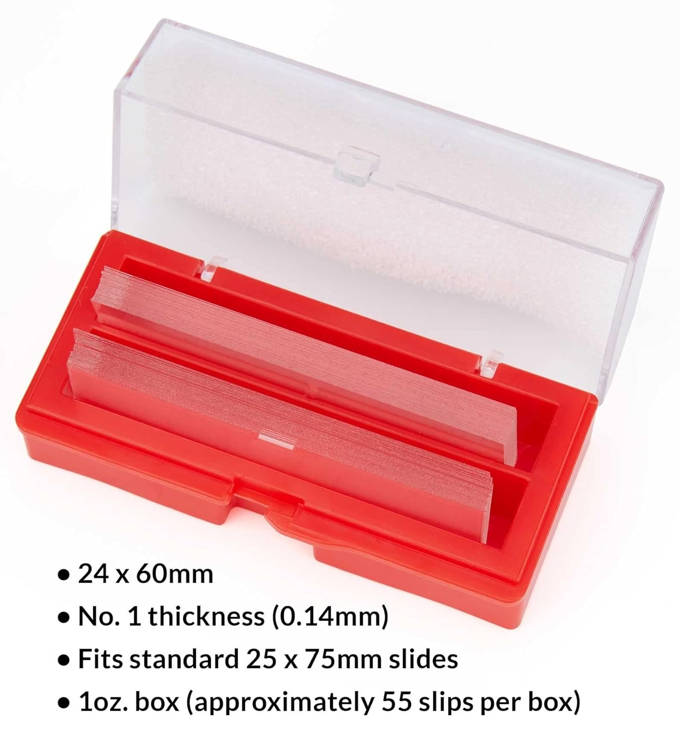 Globe Scientific 1419-10 Cover Glass, 24 x 60mm, No. 1 Thickness (Case of 10)