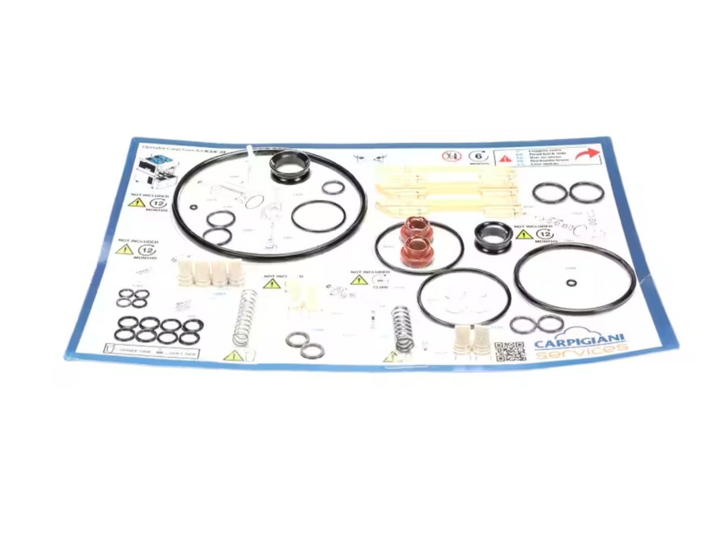 Carpigiani IC193-010338 Caripicare Kit 3/E – 6 Months