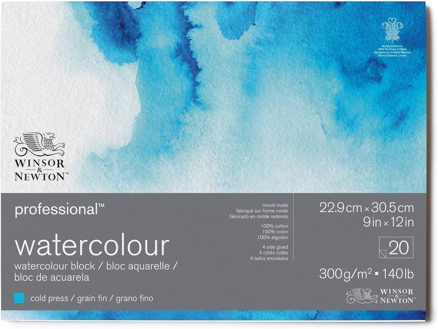 Winsor & Newton 6664002 Professional Watercolor Paper Block, 9 x 12″, Cold Press
