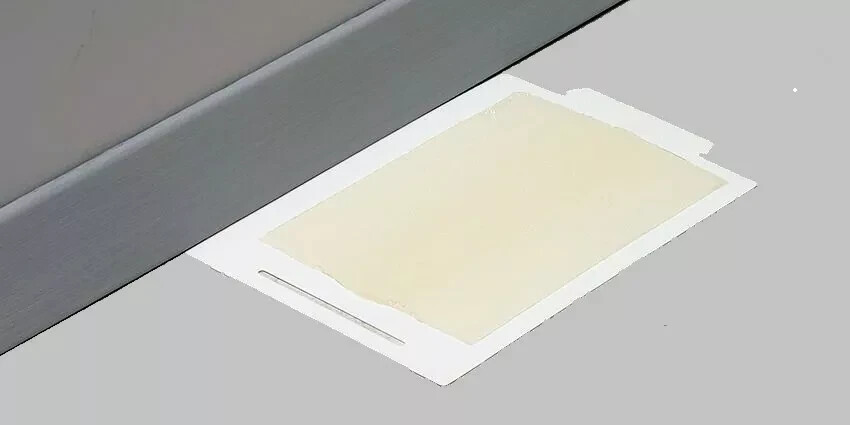 Trapper Max Glue Traps Unscented 24 Pack Mice Glue Boards TrapperMax MouseTraps