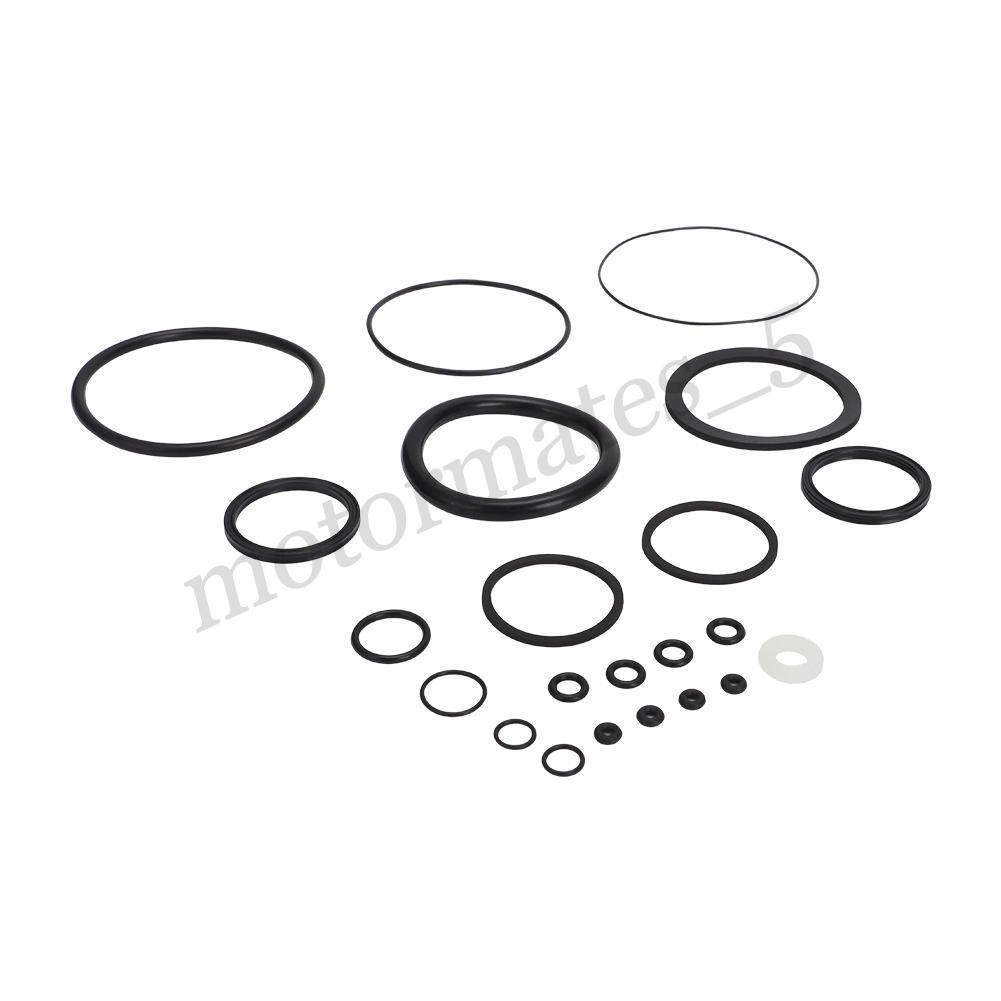 Complete Hydraulic Seal and O-Ring Kit with Check Balls for 7050 Actuator Repair