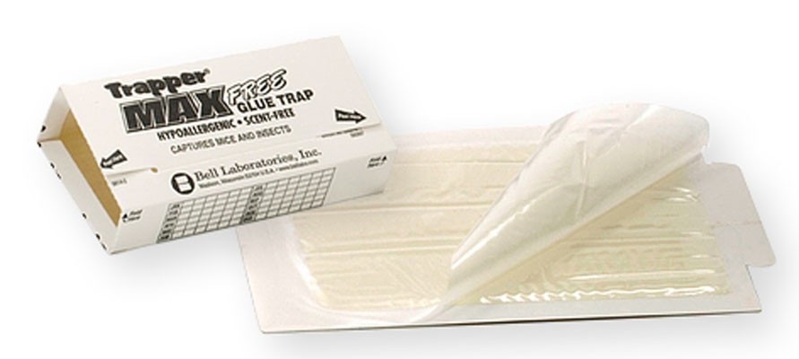 72 Trapper Max Free Unscented Mouse Glue Traps GlueBoards Trapper Max MouseTraps