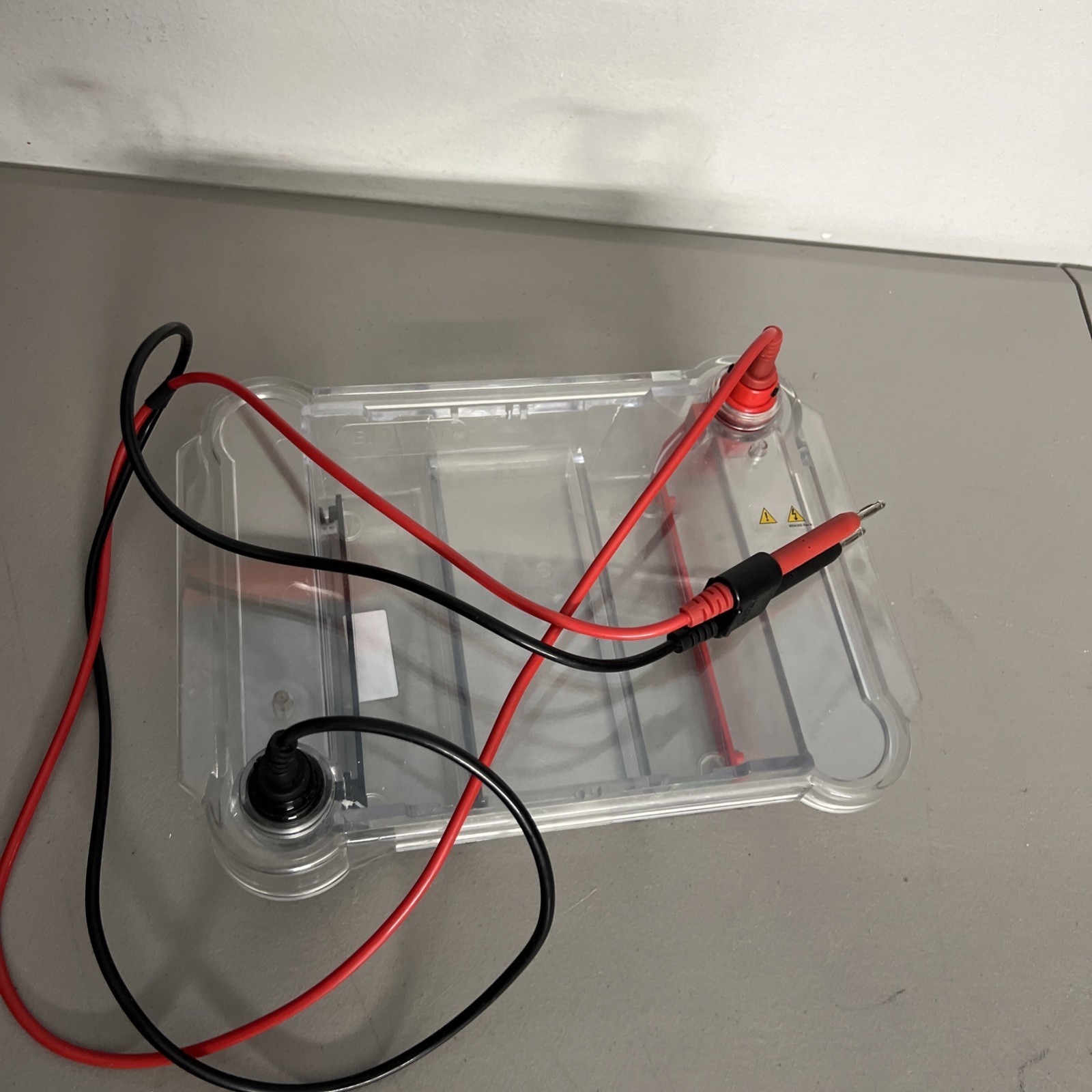 Bio-Rad WIDE Mini Sub Cell GT Basic Horizontal Electrophoresis Systems