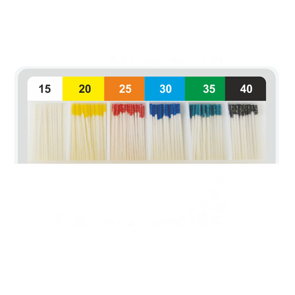 Absorbent Paper Points 200/pk