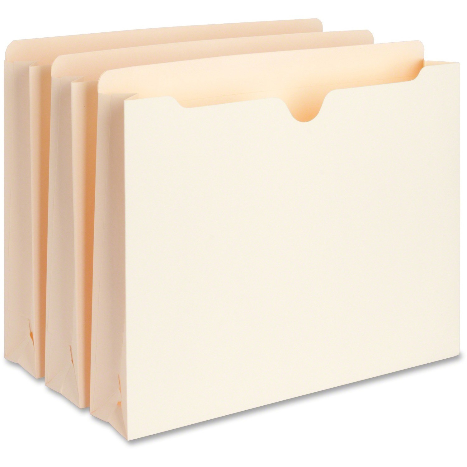 Business Source Bsn-65799 65799 File Pocket Letter – 8.50″ X 11″