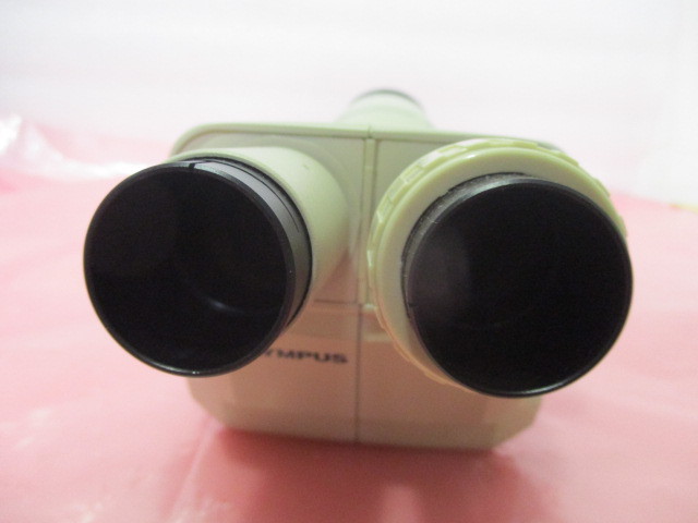 Olympus SZ3060 Zoom Stereo Microscope, 450782