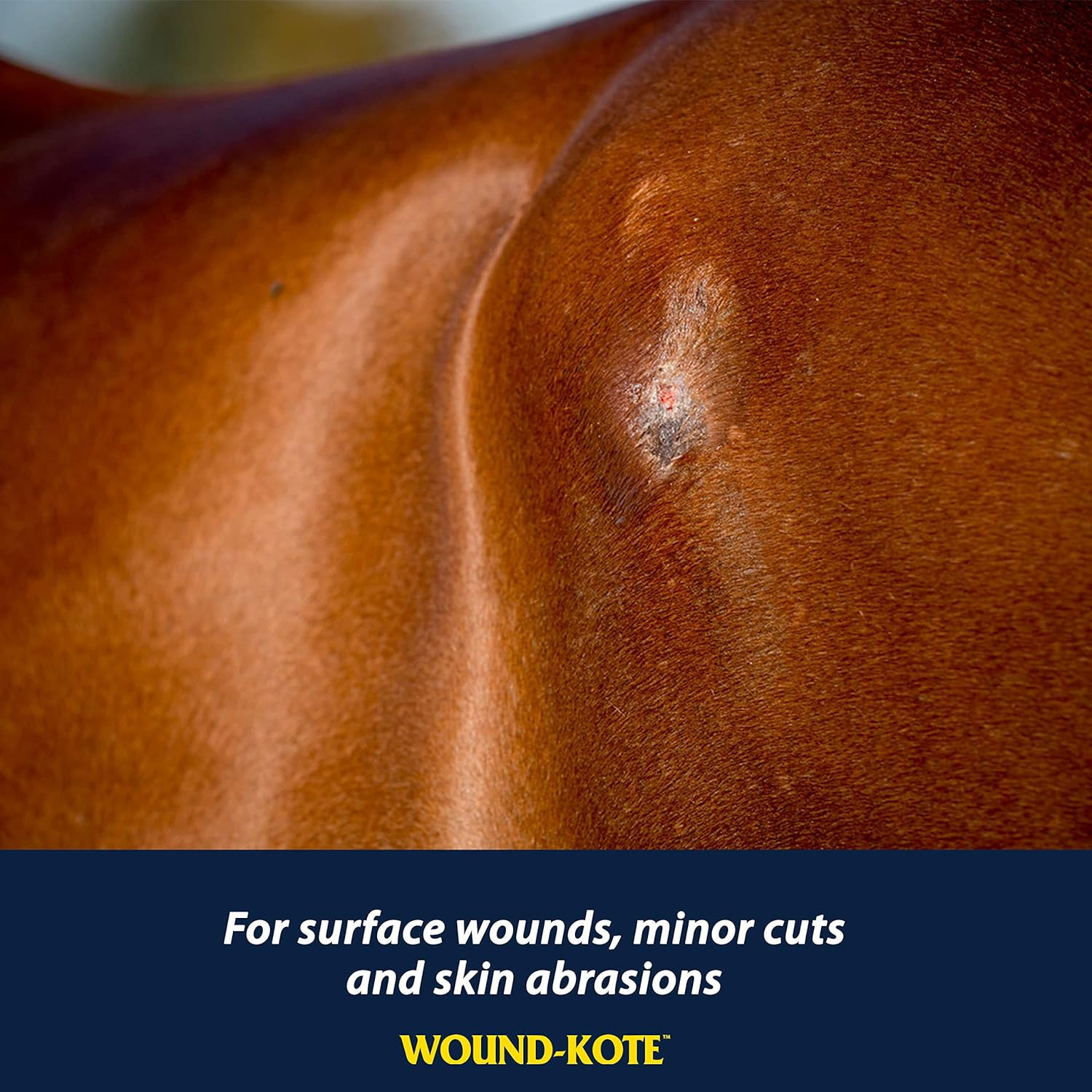 Wound-Kote Blue Lotion Spray Horse Wound Care for Use on Horses and Dogs