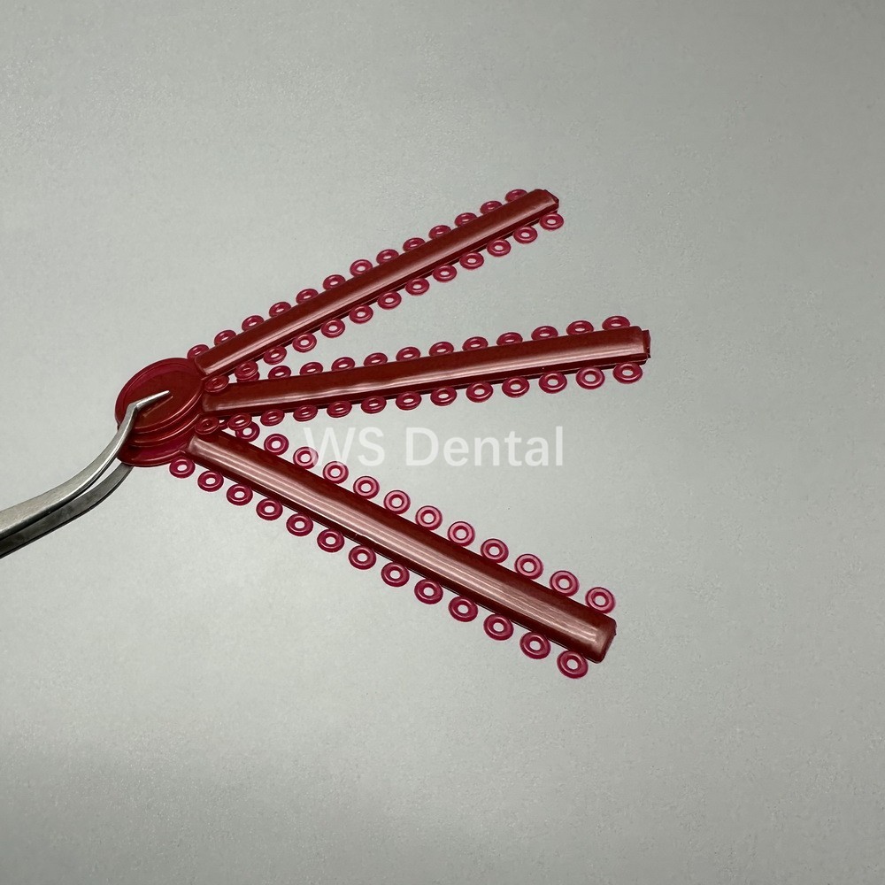 1040pcs Dental Orthodontic Elastic Ligature Ties for Brackets Brace Rubber Bands