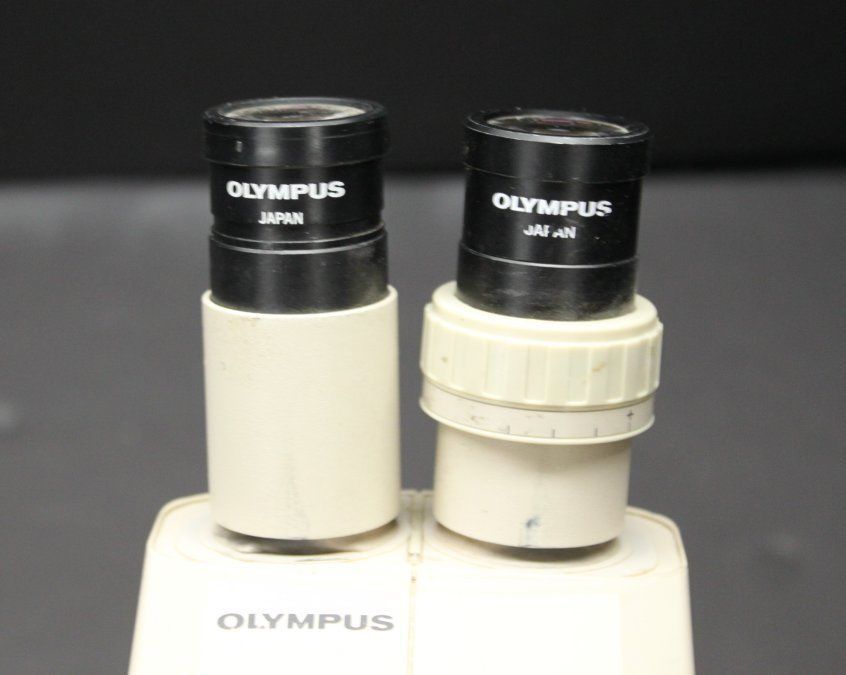 OLYMPUS SZ3060 MICROSCOPE