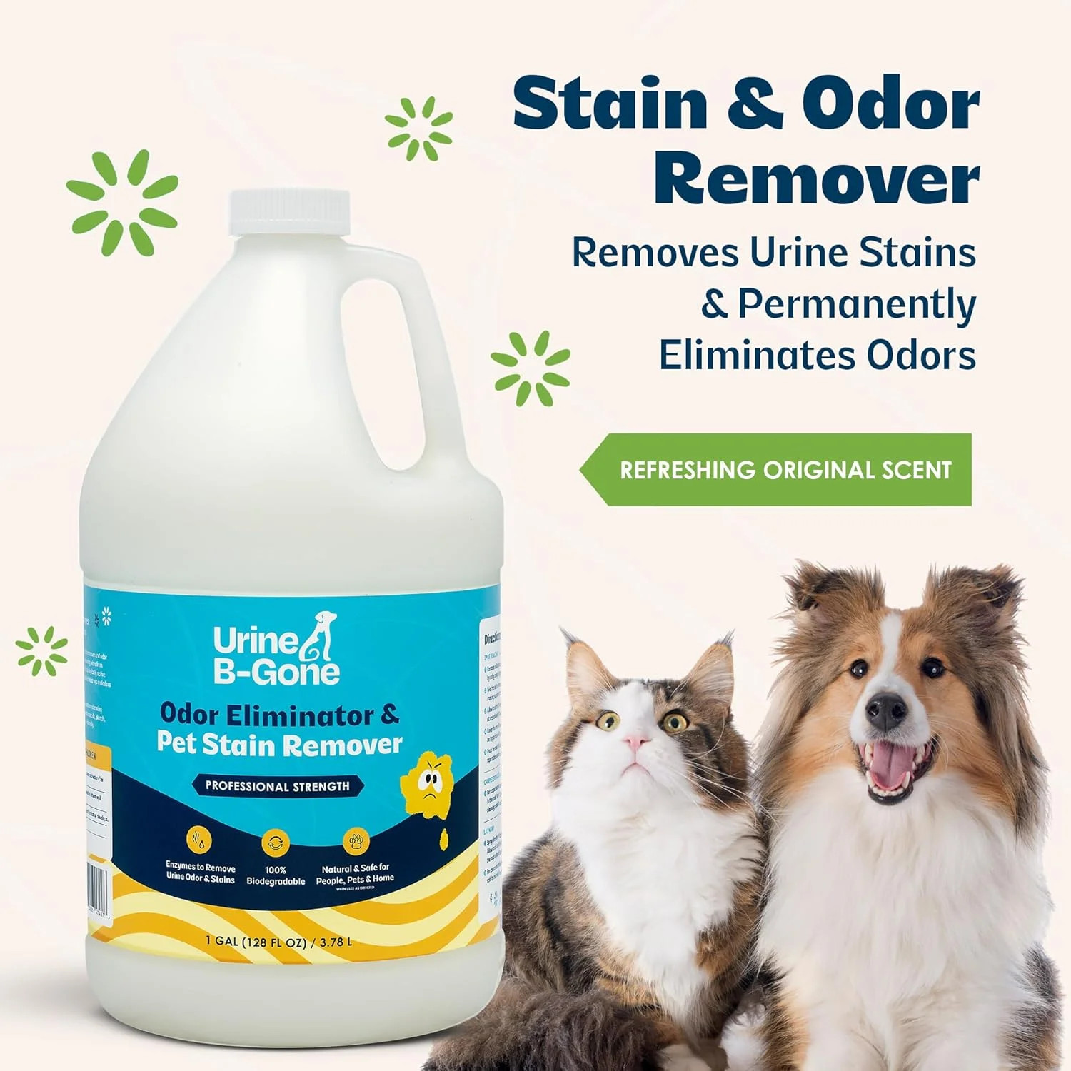 Urine B-Gone, Professional Enzyme Odor Eliminator & Pet Stain Remover, Human, Ca