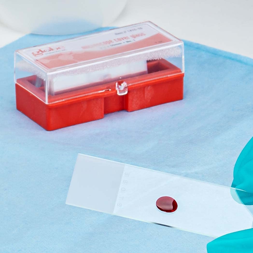 Globe Scientific 1419-10 Cover Glass, 24 x 60mm, No. 1 Thickness (Case of 10)