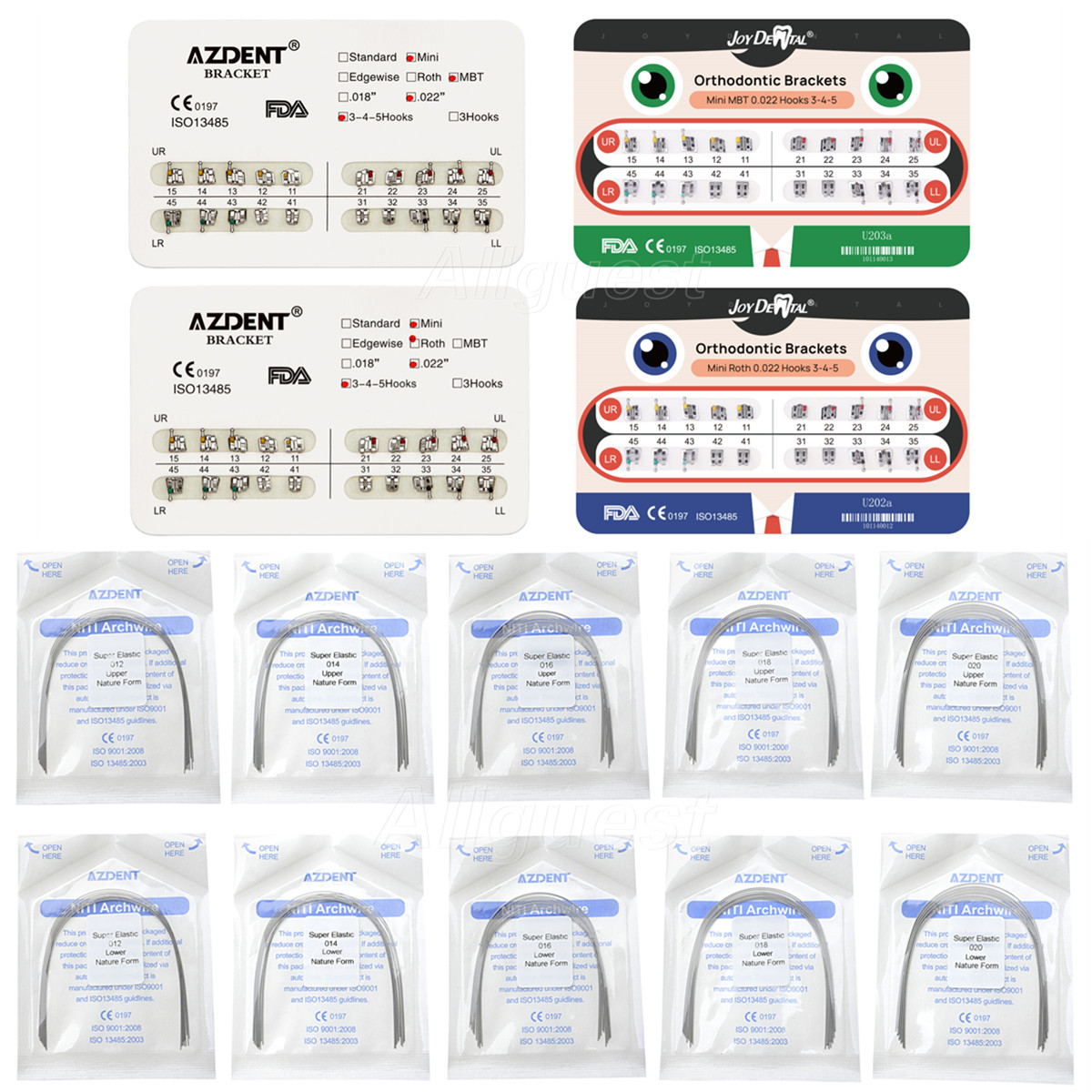 Dental Orthodontic Brackets Metal Braces/Super Elastic Niti Arch Wires Nature
