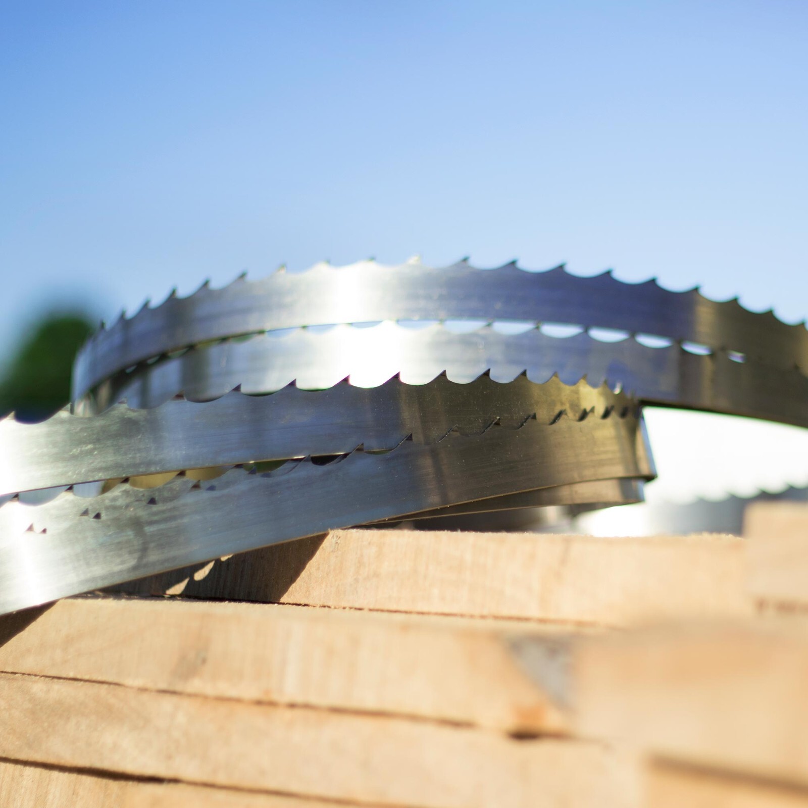 NEW Wood-Mizer DoubleHard Sawmill Bandsaw Blades for Portable Sawmills – 5 Pack