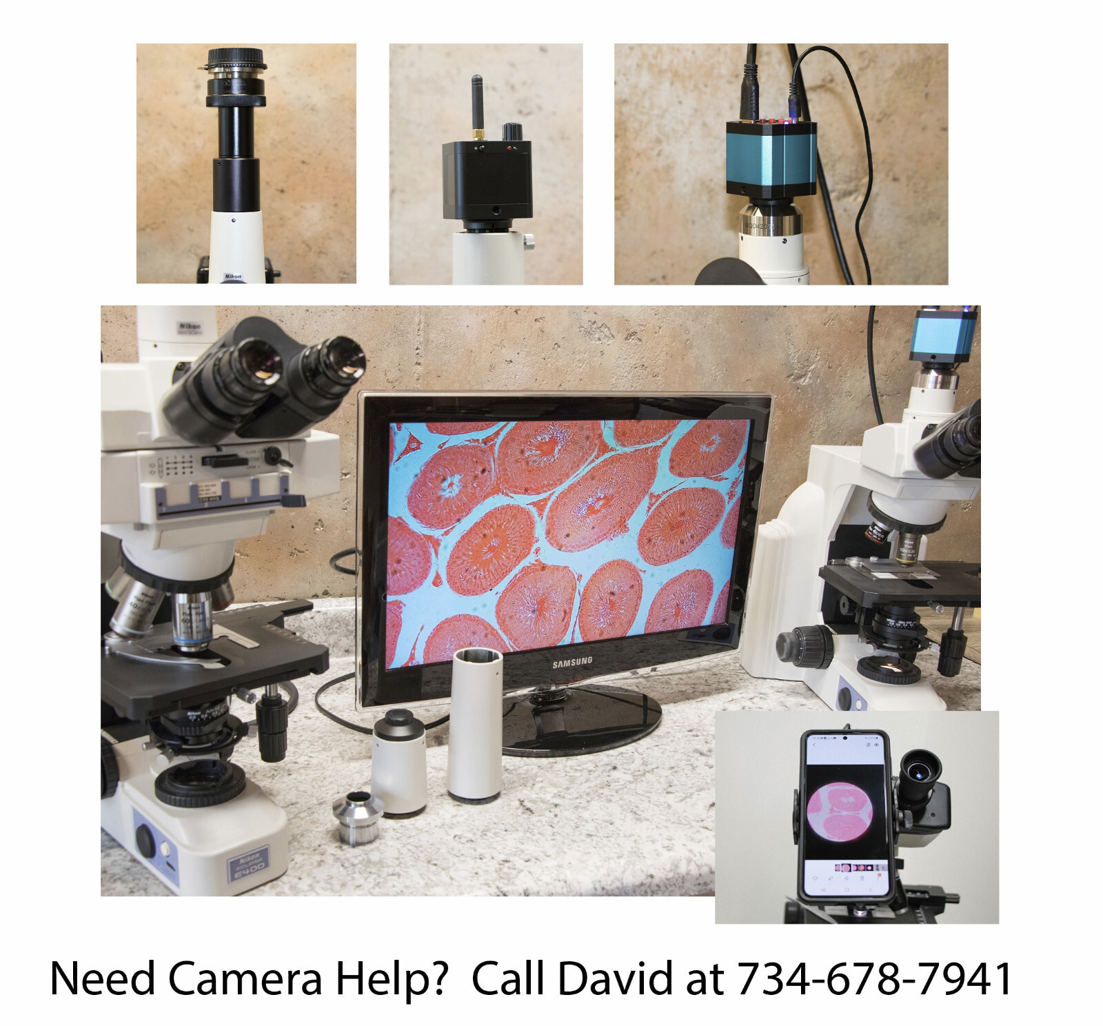 Walton Beckett Microscope Reticle G22 for ACM, Particle & Fiber Analysis – 21mm