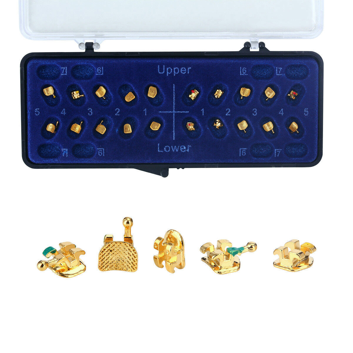 Dental Orthodontic Brackets Braces 24K Gold Plated Mini Roth 0.022 hooks 345