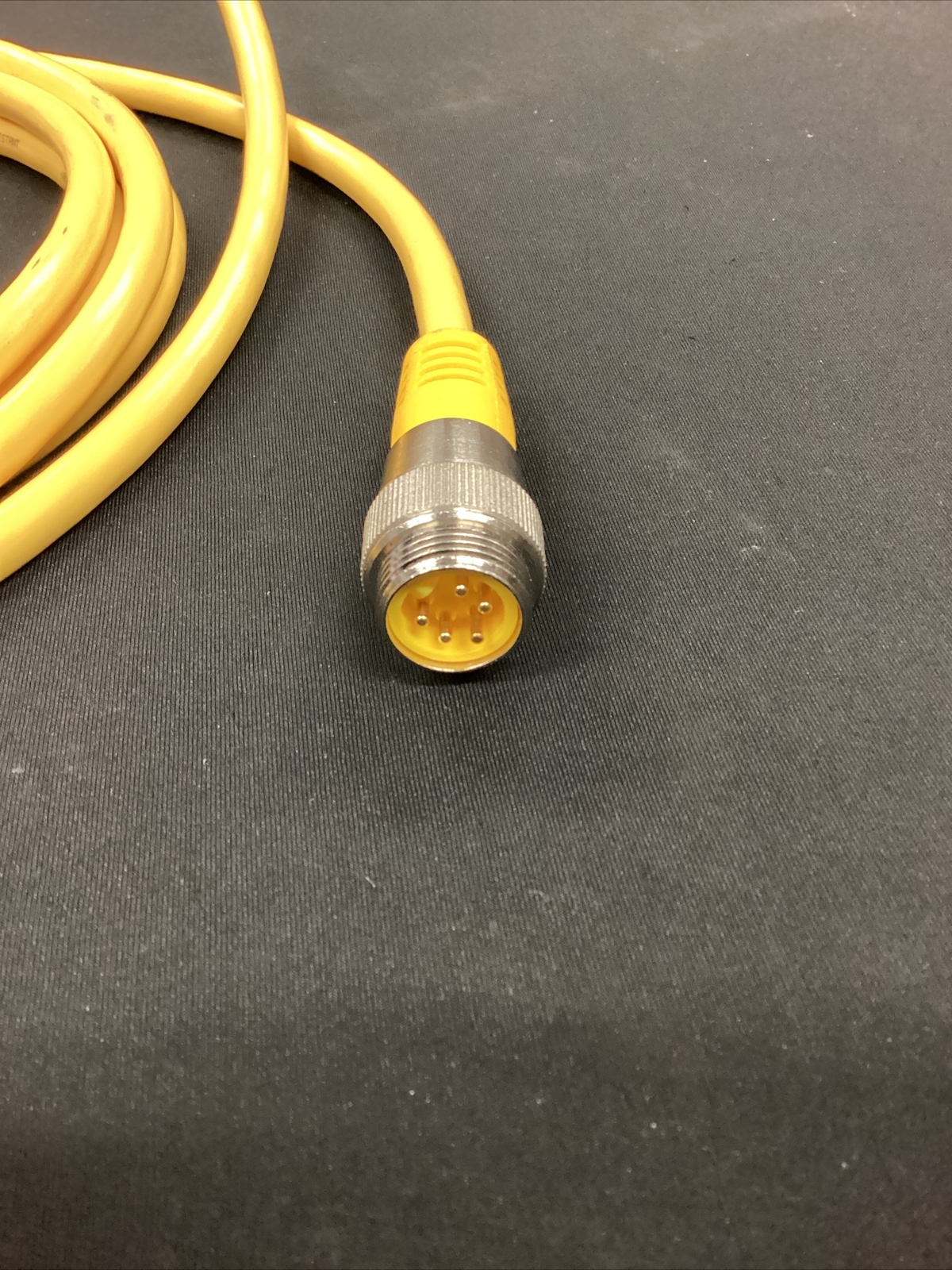 Turck Single Sided Male Cordset 15ft RSM RKM 56-5M/S3059
