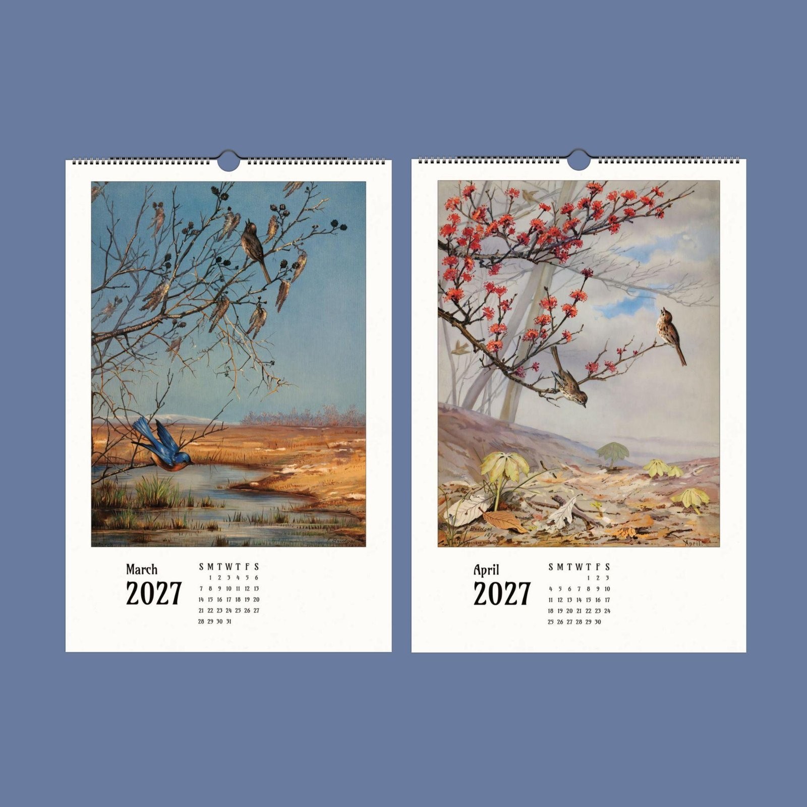 2027 Fidelia Bridges Wall Calendar – Botanical Bird Watercolor Gift, 11×16.5″